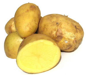 Chinese Fresh Potatoes