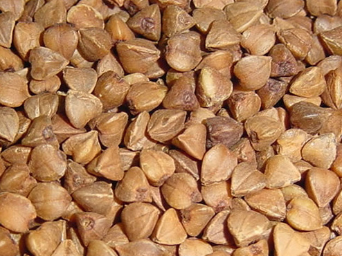 Natural Buckwheat