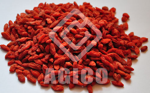 Where and How to Buy the Best Dried Goji
